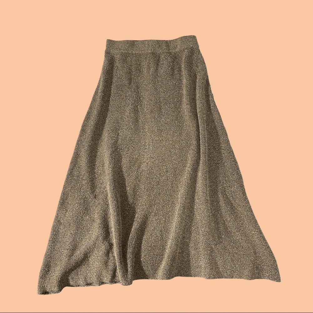 Zara Maxi Skirt